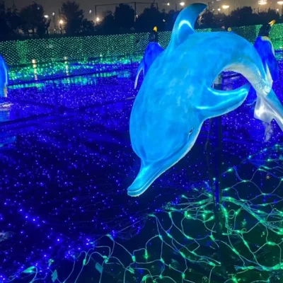 dolphin